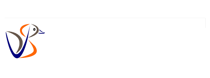 DVPS Private Limited